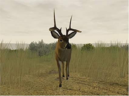 deer hunter 2005 download